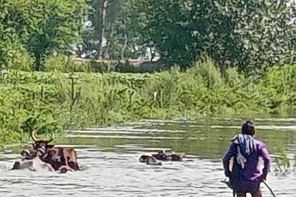 गंगा नदी का जलस्तर बढ़ना निरंतर जारी लोगों पर मंडरा रहा खतरे का संकट