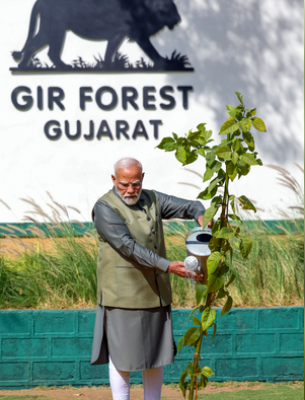 गिर के शेरों की बढ़ती आबादी पर पीएम मोदी खुश, बताया कैसे हुआ यह मुमकिन