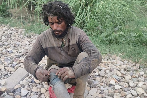 मुज़फ्फरनगर में दिल दहला देने वाली घटना,राष्ट्रीय प्रतीक का अपमान! मोर को जलाकर मार डाला